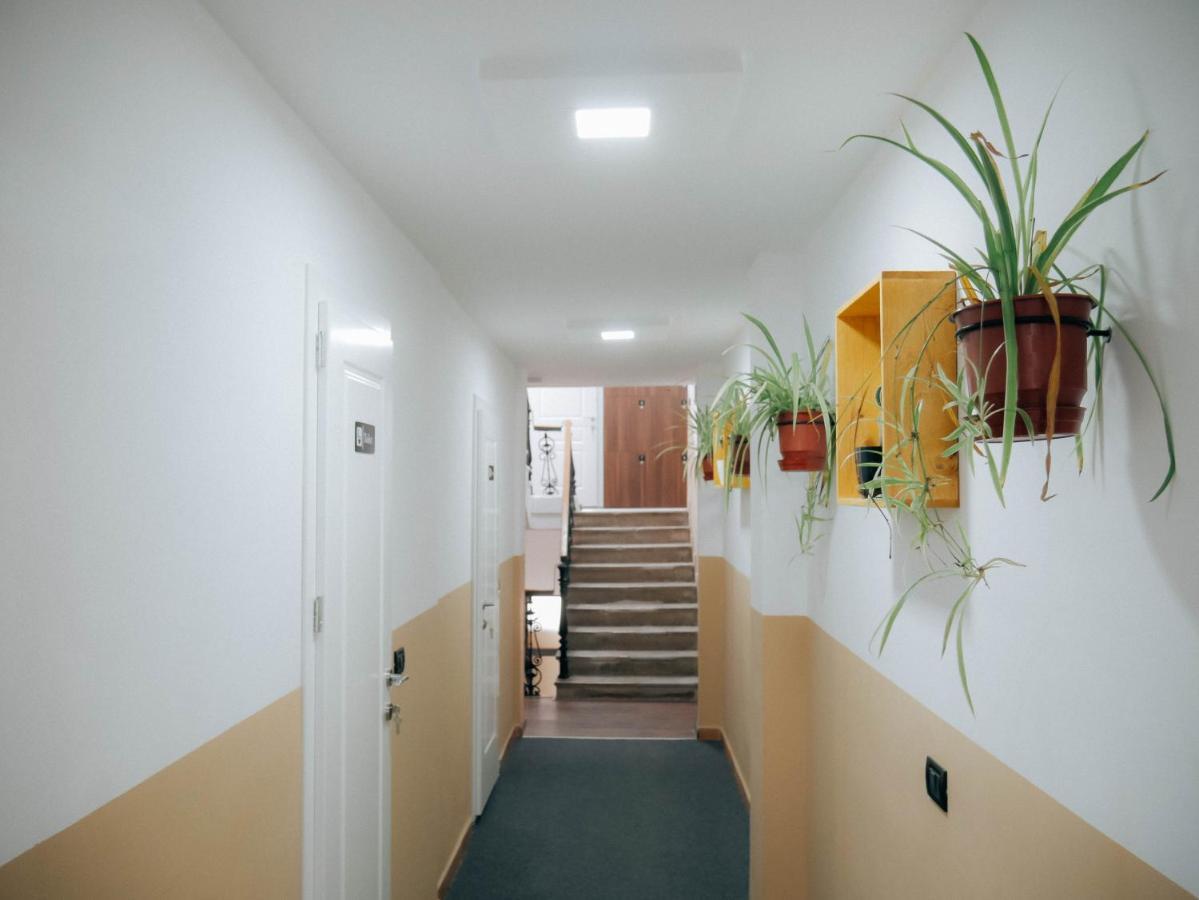 The Maze Hostel Tirana Exteriör bild